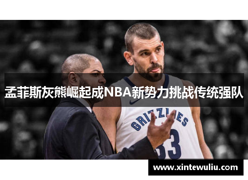 孟菲斯灰熊崛起成NBA新势力挑战传统强队